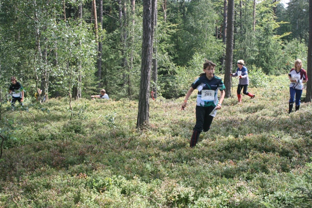 Marine, lors de la derniÃ¨re Ã©tape Ã  Cvikov, courant dans le tapis  de myrtilles en sous-bois, a trouvÃ© son avant derniÃ¨re balise et fonce  vers lâ€™arrivÃ©e